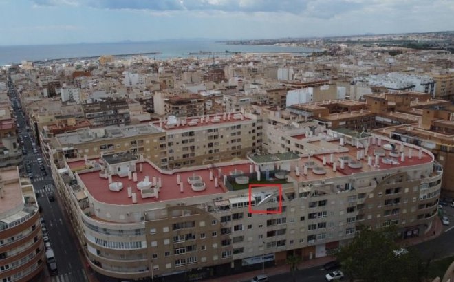 Resale - Apartment -
Torrevieja - Costa Blanca