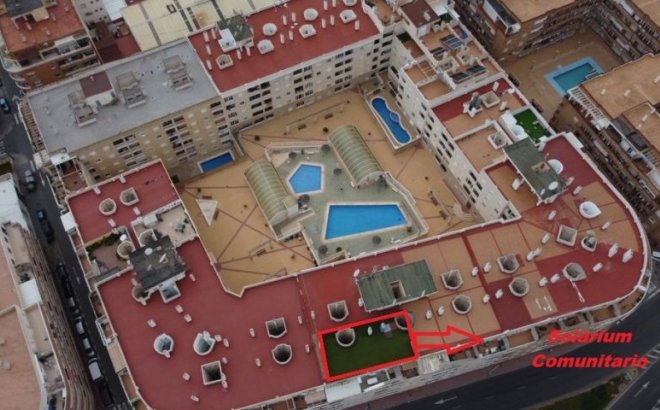 Resale - Apartment -
Torrevieja - Costa Blanca