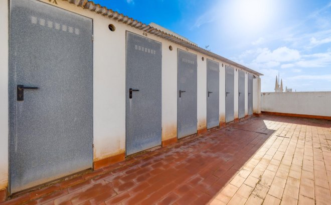 Herverkoop - Penthouse -
Torrevieja - Paseo Maritimo