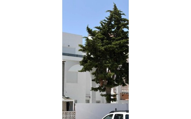 Resale - Town House -
Torrevieja - Calas Blanca