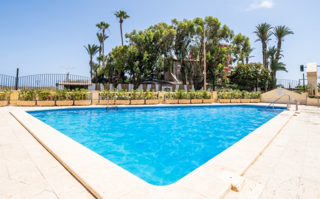 Resale - Apartment -
Torrevieja - Costa Blanca