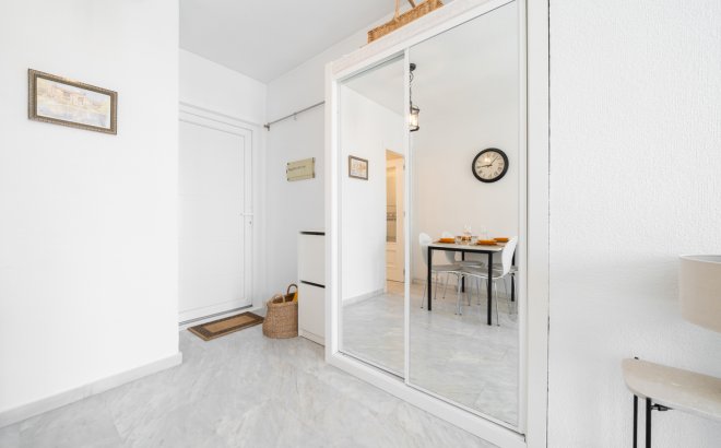 Resale - Apartment -
Torrevieja - Costa Blanca