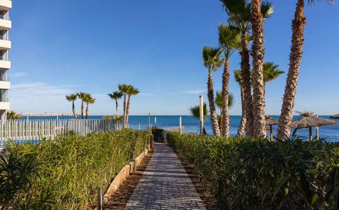Resale - Apartment -
Torrevieja - Costa Blanca