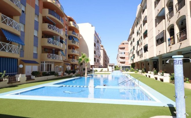 Resale - Apartment -
Torrevieja - Costa Blanca