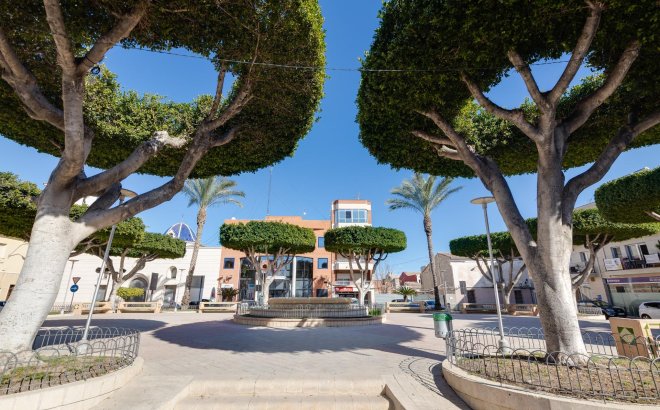 New Build - Apartment -
San Fulgencio - Pueblo