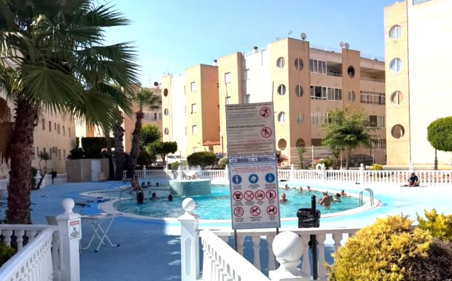 Resale - Apartment -
Torrevieja - Costa Blanca