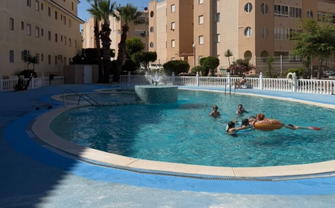 Resale - Apartment -
Torrevieja - Costa Blanca