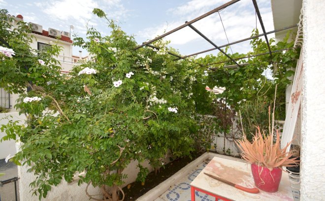 Resale - Town House -
Torrevieja - Costa Blanca