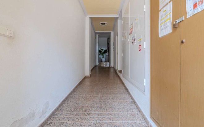 Resale - Apartment -
Torrevieja - Costa Blanca