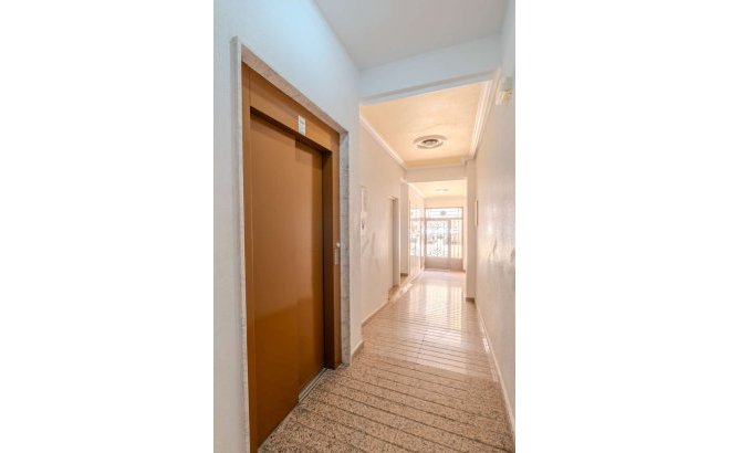 Resale - Apartment -
Torrevieja - Costa Blanca