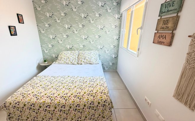 Resale - Apartment -
Torrevieja - Costa Blanca