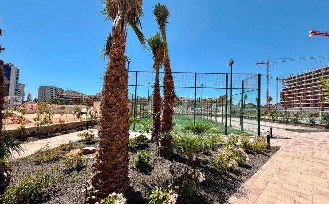 Resale - Apartment -
Torrevieja - Punta Prima