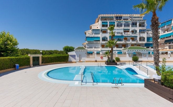 Resale - Apartment -
La Mata - Costa Blanca