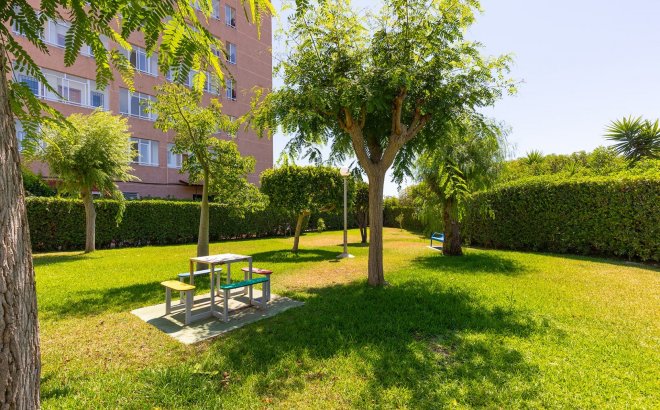 Resale - Apartment -
La Mata - Costa Blanca