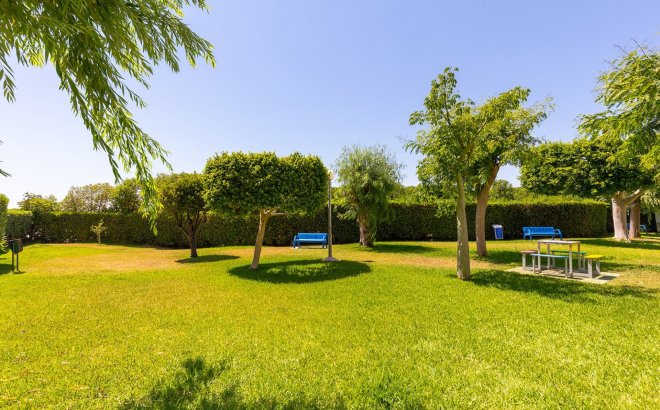 Resale - Apartment -
La Mata - Costa Blanca