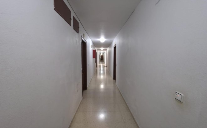 Herverkoop - Appartement -
Torrevieja - Playa del Cura