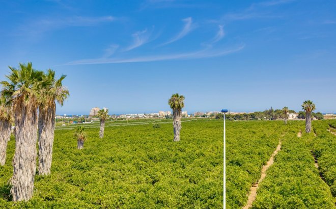 Revente - Town House -
Torrevieja - Los Balcones