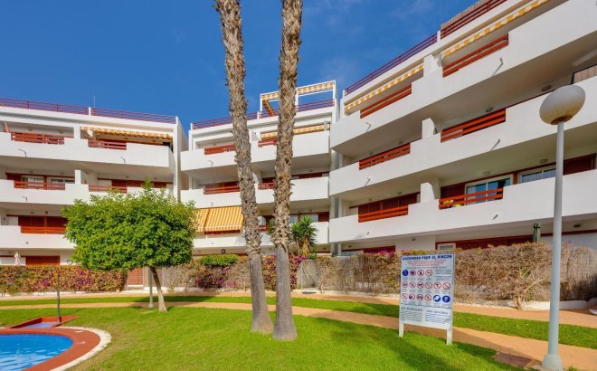 Revente - Appartement -
Orihuela Costa - Playa Flamenca