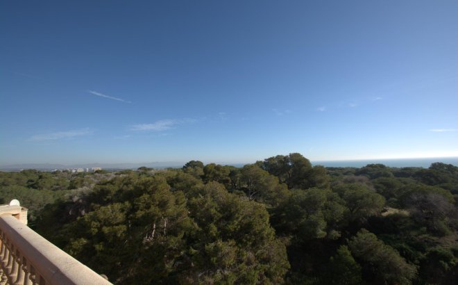 Nouvelle Construction - Penthouse -
Guardamar del Segura - Pueblo