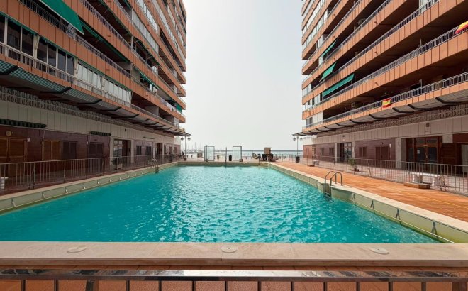 Resale - Apartment -
Torrevieja - Acequion