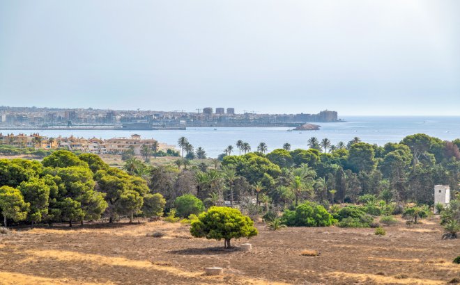 Resale - Apartment -
Torrevieja - Costa Blanca