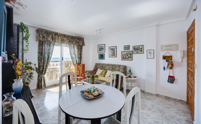 Resale - Apartment -
Torrevieja - Costa Blanca