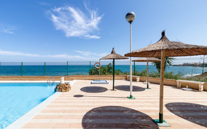 Resale - Apartment -
Torrevieja - Costa Blanca