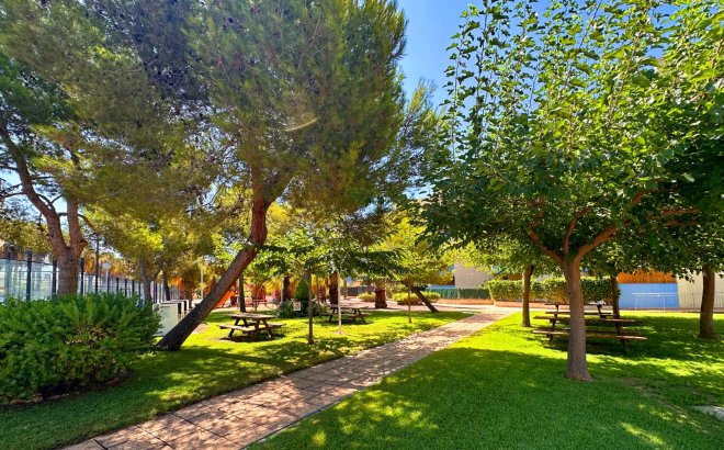 Resale - Apartment -
Orihuela Costa - Costa Blanca