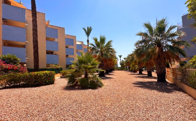 Resale - Apartment -
Orihuela Costa - Costa Blanca