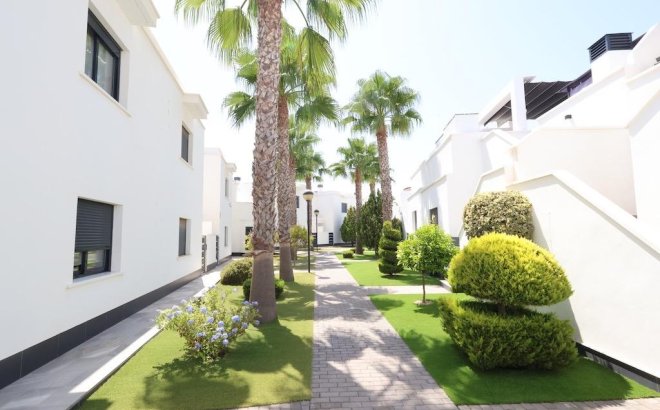 Resale - Dúplex -
Orihuela Costa - Costa Blanca
