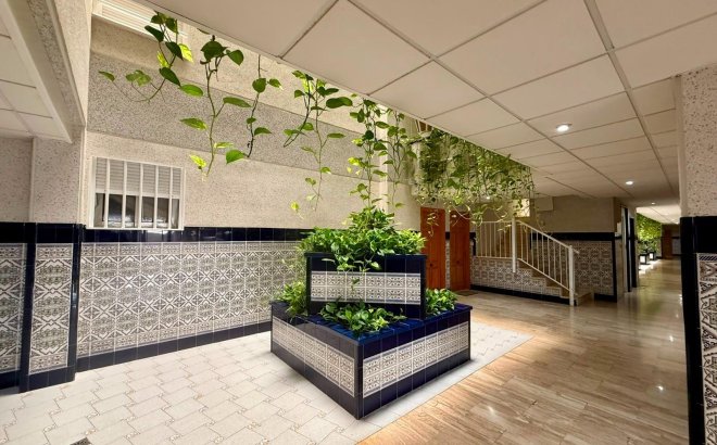 Resale - Apartment -
Torrevieja - Playa del Cura