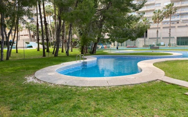 Resale - Apartment -
Orihuela Costa - Campoamor