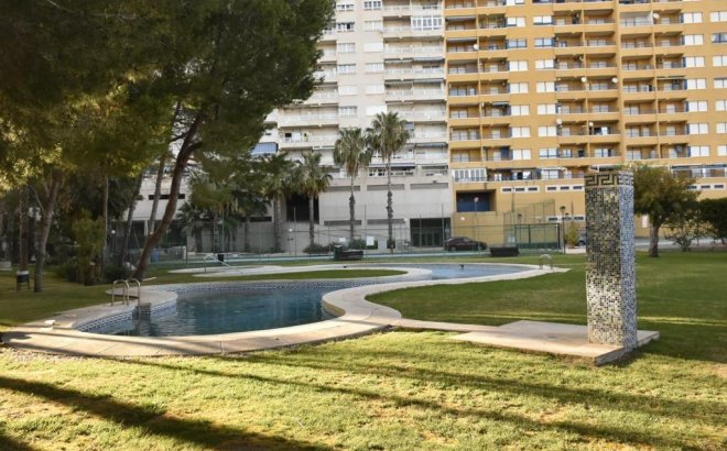 Resale - Apartment -
Orihuela Costa - Campoamor