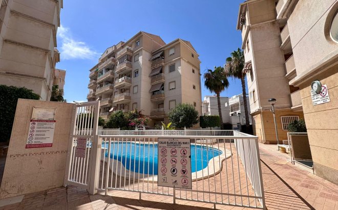 Resale - Apartment -
Torrevieja - Habaneras