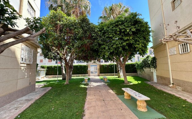 Resale - Apartment -
Torrevieja - Habaneras