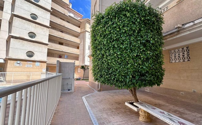 Resale - Apartment -
Torrevieja - Habaneras