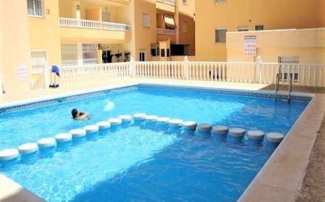 Resale - Apartment -
Torrevieja - Centro