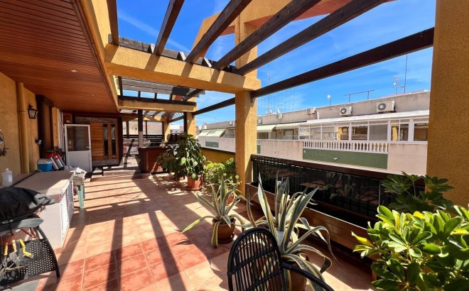 Resale - Apartment -
Torrevieja - Centro