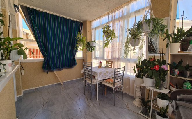 Resale - Bungalow -
Torrevieja - Costa Blanca