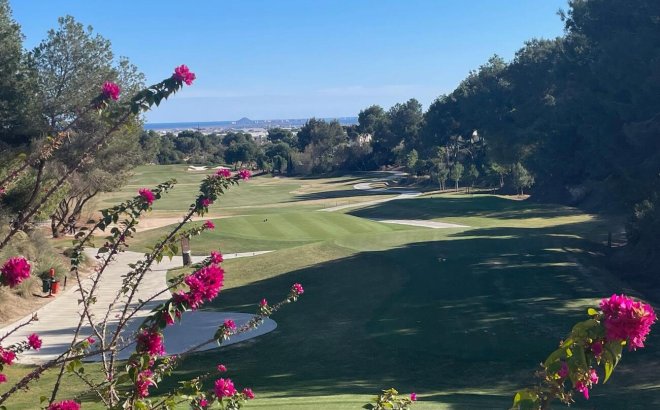 Resale - Apartment -
Pilar de la Horadada - Lo Romero Golf