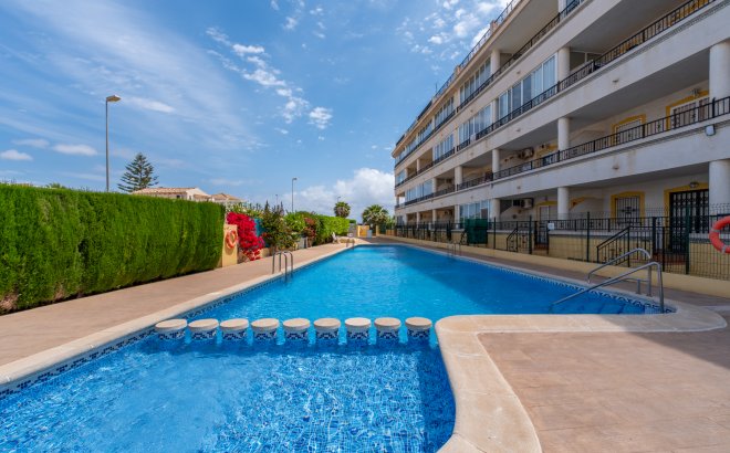 Resale - Apartment -
Playa Flamenca - Costa Blanca