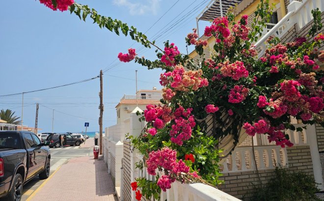 Revente - Bungalow -
Torrevieja - Los Europeos