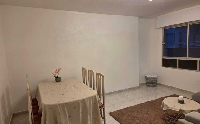 Resale - Apartment -
Torrevieja - Habaneras