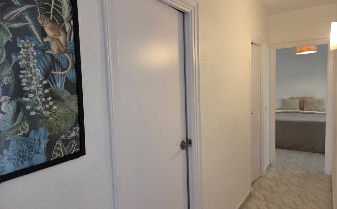 Resale - Apartment -
Torrevieja - Habaneras