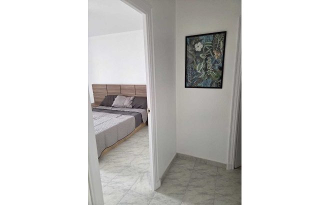 Resale - Apartment -
Torrevieja - Habaneras