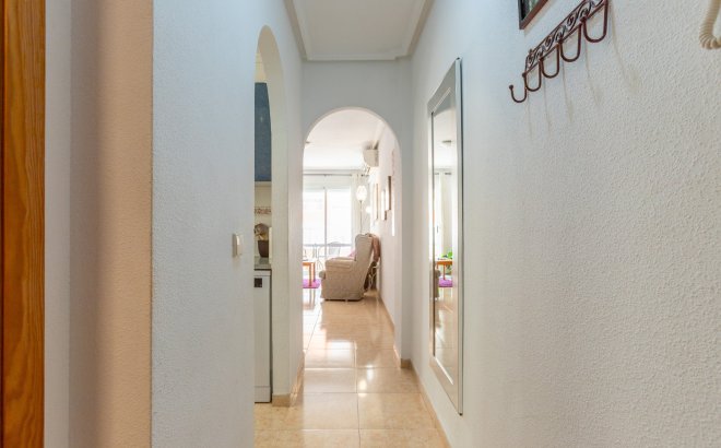 Resale - Apartment -
Torrevieja - Costa Blanca