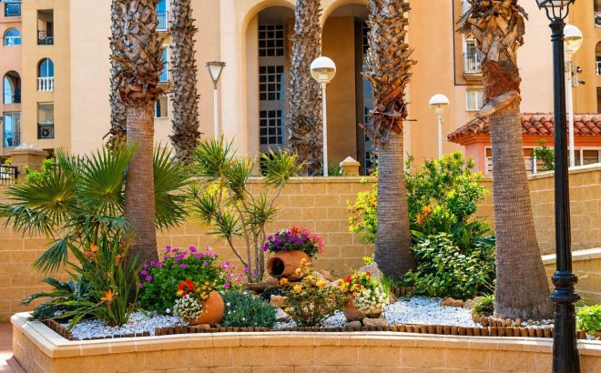 Resale - Apartment -
Torrevieja - Los Frutales