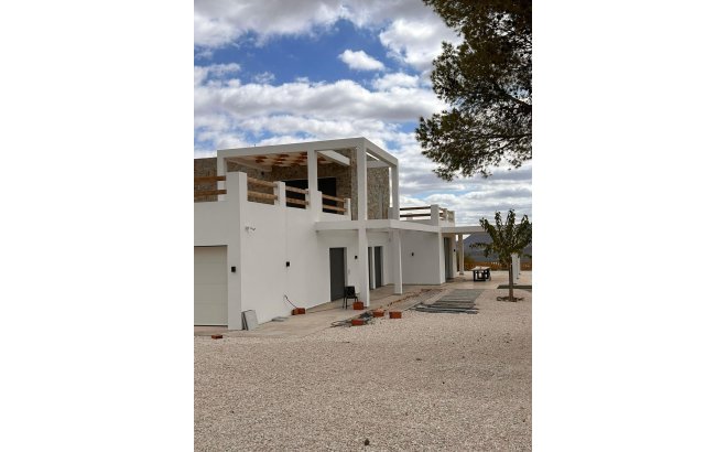 New Build - Villa -
Pinoso - Casas Pastor