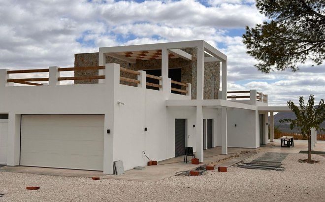 New Build - Villa -
Pinoso - Casas Pastor