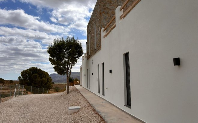 New Build - Villa -
Pinoso - Casas Pastor